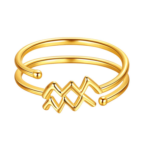Wassermann Ringe Sternzeichen Schmuck Frauen Mädchen Geburtstagsgeschenke 925 Sterling Silber Wassermann Ringe Sternzeichen Schmuck Frauen Mädchen Geburtstagsgeschenke 925 Sterling Silber