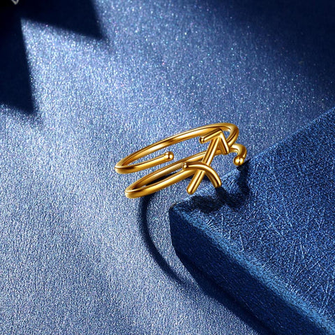 Bagues signe du zodiaque en argent Sterling 925, bijoux pour femmes et filles, cadeaux d'anniversaire Bagues signe du zodiaque en argent Sterling 925, bijoux pour femmes et filles, cadeaux d'anniversaire