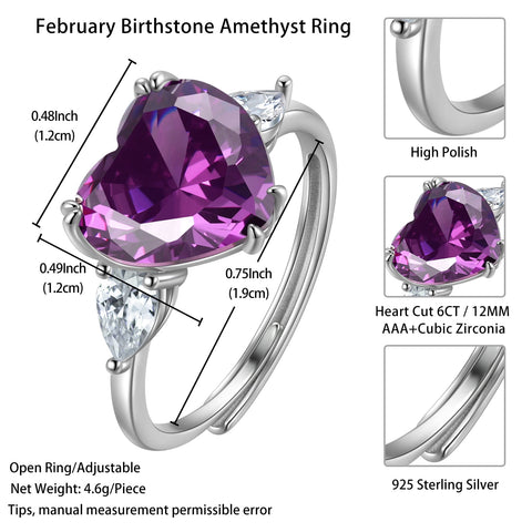 6Ct Women Heart Ring 925 Sterling Silver February Birthstone Ring Amethyst Purple Jewelry Mom Grandma Valentine's Day Wedding Gift - Aurora Tears