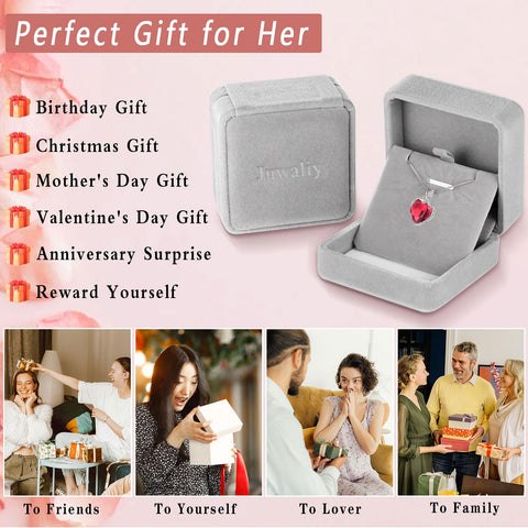 Dragonfly Necklace Heart April Birthstone Necklace Diamond CZ 925 Sterling Silver Pendant White Jewelry Women Birthday Christmas Mother's Day Gift - Aurora Tears