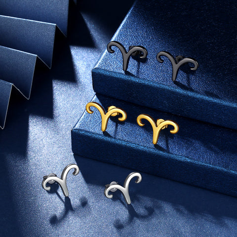 Wassermann-Ohrstecker für Damen und Mädchen – Sternbild-Astrologie-Horoskop-Schmuck – Geburtstagsgeschenk