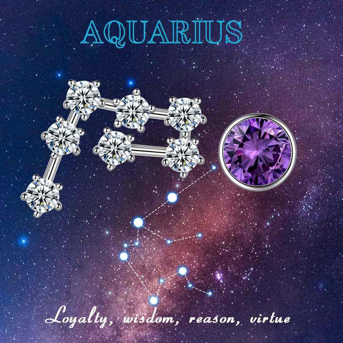 Aquarius Earrings February Birthstone Zodiac Studs - Earrings - Aurora Tears