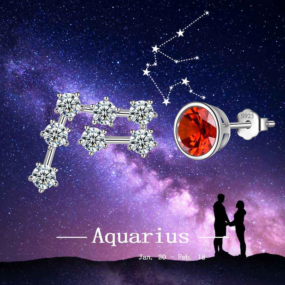 Aquarius Earrings January Birthstone Zodiac Studs - Earrings - Aurora Tears
