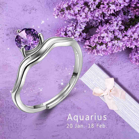 Aquarius Ring February Amethyst Birthstone Zodiac - Rings - Aurora Tears