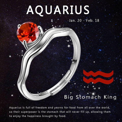 Aquarius Ring January Garnet Birthstone Zodiac - Rings - Aurora Tears