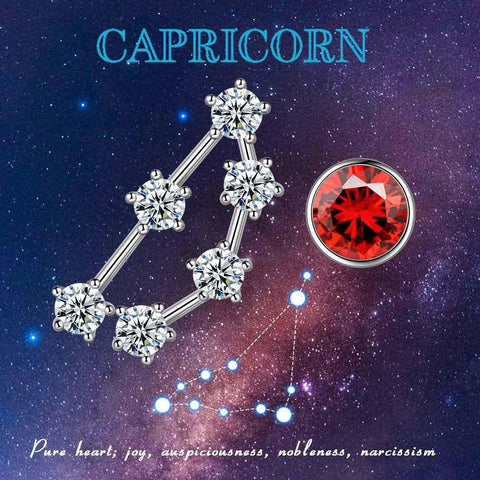 Capricorn Earrings January Birthstone Zodiac Studs - Earrings - Aurora Tears