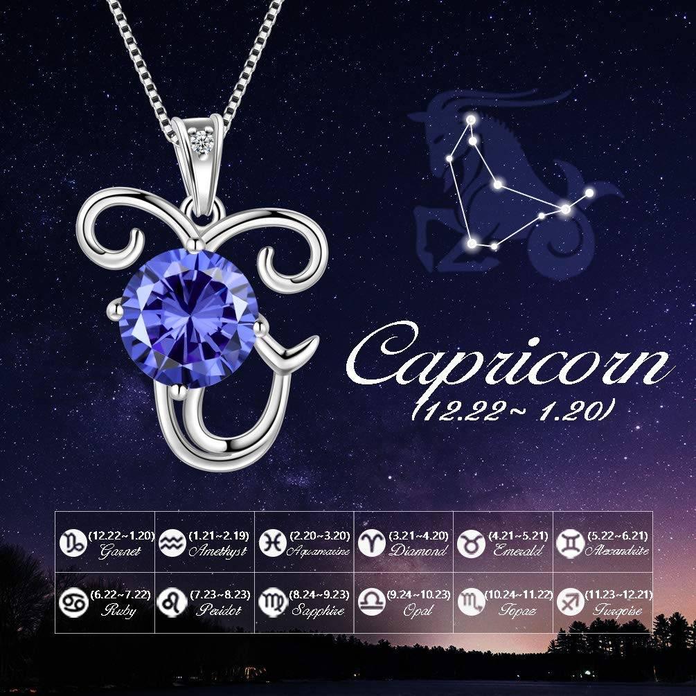 Capricorn Zodiac Necklace December Birthstone Pendant Crystal - Necklaces - Aurora Tears