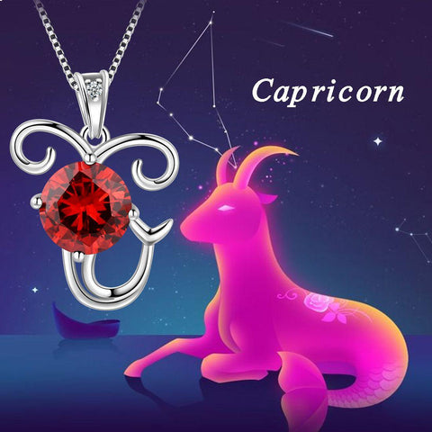 Capricorn Zodiac Necklace January Birthstone Pendant Crystal - Necklaces - Aurora Tears